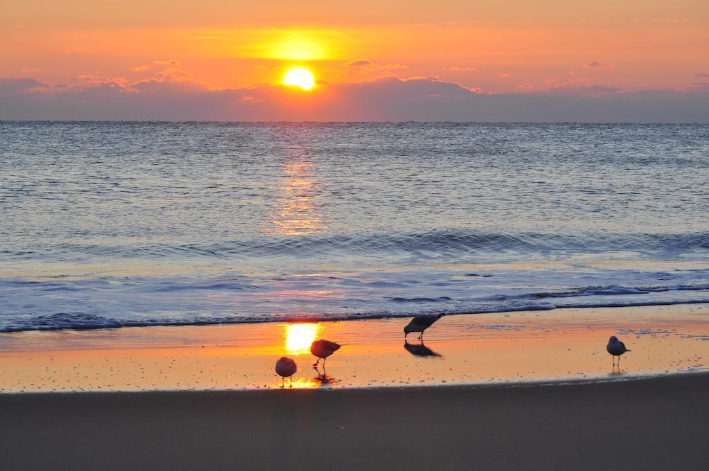 Sealoft Oceanfront Hotel Ocean City Dış mekan fotoğraf